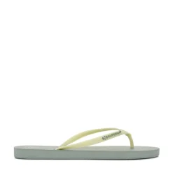 4121 FLIP FLOPS